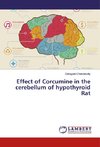 Effect of Corcumine in the cerebellum of hypothyroid Rat