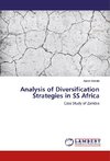 Analysis of Diversification Strategies in SS Africa