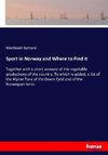 Sport in Norway and Where to Find it