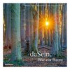 daSein. Wie ein Baum