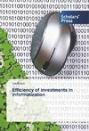 Efficiency of investments in informatization