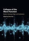 Collapse of the Wave Function