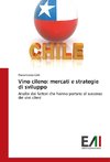 Vino cileno: mercati e strategie di sviluppo