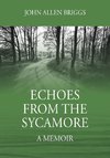 Echoes from the Sycamore