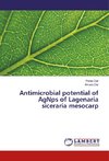 Antimicrobial potential of AgNps of Lagenaria siceraria mesocarp