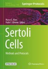 Sertoli Cells