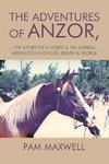 The Adventures of Anzor