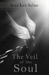 The Veil of the Soul