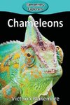 Chameleons