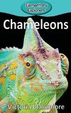 Chameleons