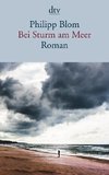 Bei Sturm am Meer