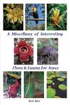 A Miscellany of Interesting Flora & Fauna for Joyce