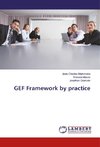 GEF Framework by practice