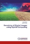 Denoising of Digital Images using Hybrid Computing