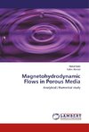 Magnetohydrodynamic Flows in Porous Media