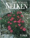 Nelken