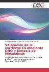 Valoración de la corriente C5 mediante DHO y Síntesis de Mesosílicas