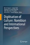 Digitisation of Culture: Namibian and International Perspectives