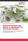 Determinantes del gasto y demanda de servicios finales