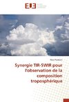 Synergie TIR-SWIR pour l'observation de la composition troposphérique