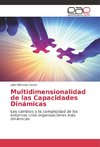 Multidimensionalidad de las Capacidades Dinámicas