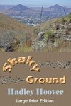 Shaky Ground (LP)