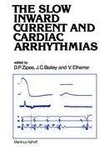 The Slow Inward Current and Cardiac Arrhythmias