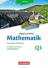 Mathematik Leistungskurs 3. Halbjahrk - Hessen - Band Q3