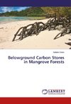 Belowground Carbon Stores in Mangrove Forests