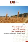 Identification et caractérisation morphométrique