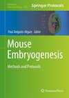 Mouse Embryogenesis