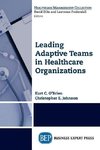 Leading Adaptive Teams in Healthcare Organizations