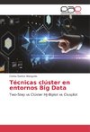 Técnicas clúster en entornos Big Data