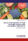 Secure Transmission of Text through Images with Encryption Algorithms