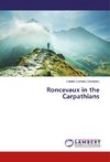 Roncevaux in the Carpathians