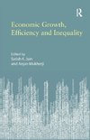 Economic Growth, Efficiency and Inequality