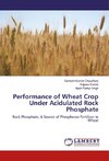 Performance of Wheat Crop Under Acidulated Rock Phosphate