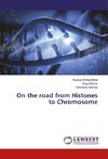 On the road from Histones to Chromosome