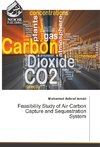 Feasibility Study of Air Carbon Capture and Sequestration System