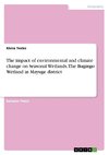 The impact of environmental and climate change on Seasonal Wetlands. The Bugingo Wetland in Mayuge district