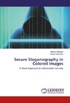 Secure Steganography in Colored Images