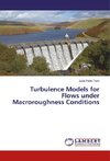 Turbulence Models for Flows under Macroroughness Conditions