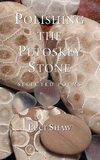 Polishing the Petoskey Stone