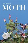 Moth