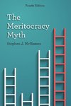 Meritocracy Myth