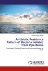 Antibiotic Resistance Pattern of Bacteria Isolated from Pipe-Borne