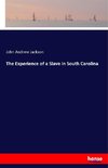 The Experience of a Slave in South Carolina