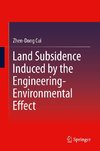 Land Subsidence Induced by the Engineering-Environmental Effect