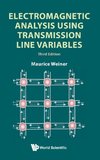 Electromagnetic Analysis Using Transmission Line Variables