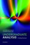 Undergraduate Analysis: A Working Textbook